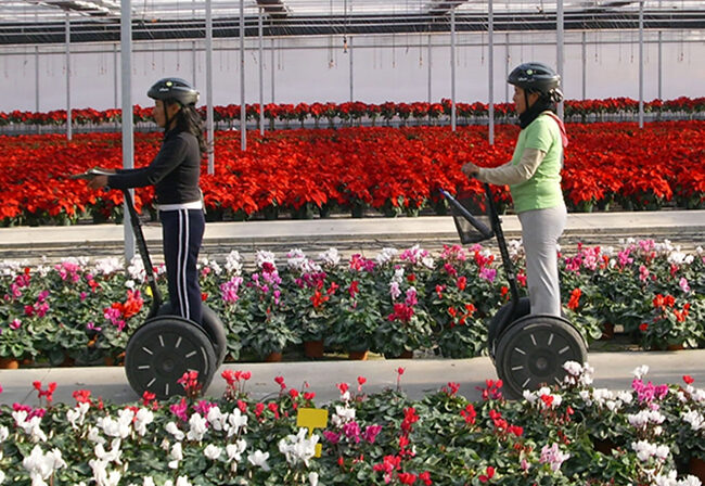 Two i2 SE Segways with riders moving through a flower nursery