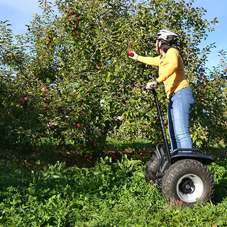 Woman picking apple while on Segway x2