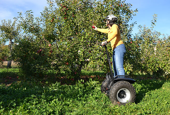 Woman picking apple while on Segway x2